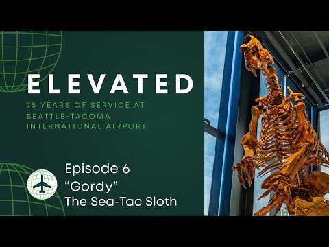 Elevated: 75 Years of Service at SEA | Episode 6: Gordy the Sea-Tac Sloth