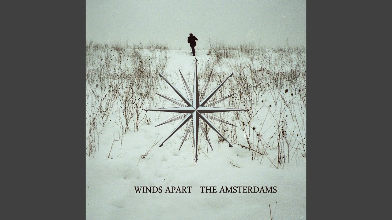 apologies chaussures