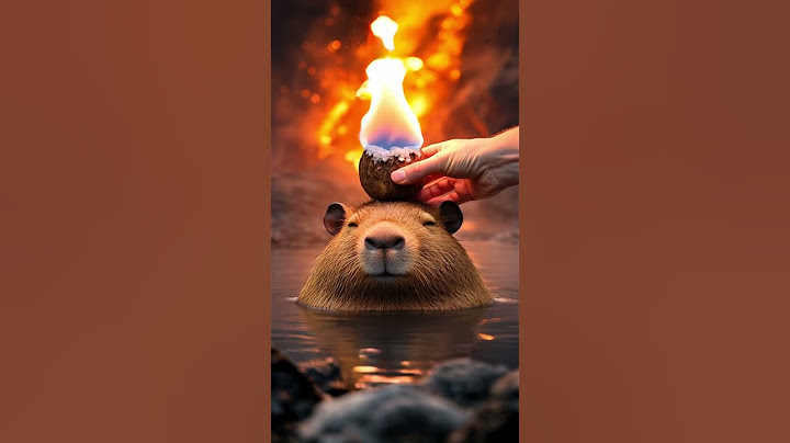 Calm like Capybara 要像卡皮巴拉一樣冷靜待事 カピバラ#shorts #capybara  #calm