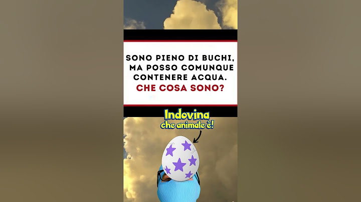 Rispondi subito: che cosa sono? ❓💧