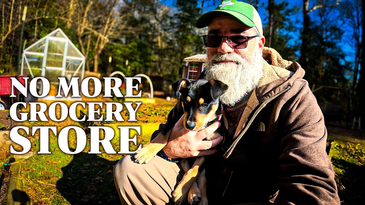 This is how much you should grow