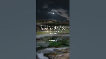 ﴿أينما تكونوا يدرككم الموت...﴾ تلاوة عطرة للقارئ الشيخ فارس عباد 🍂