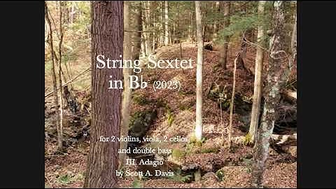 String Sextet in B flat: III. Adagio by Scott A. Davis