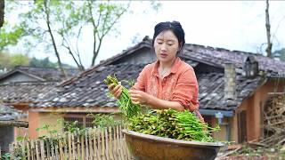 Edible Wild Herbs - The generosity of spring is hidden in every wild herb.【Shen Dan】