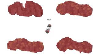 Video Demo: Results on vehicle categories Net Worth