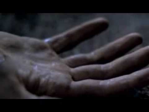 Chasing Cars (Spanish subtitles)