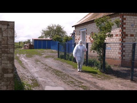 Video: Pâlnii Fatezh - Vedere Alternativă