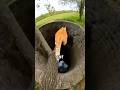 It Looks Like a Deadly Jump… But It Isn’t 😳👀 #OpticalIllusion#CatVideo#mindtrick
