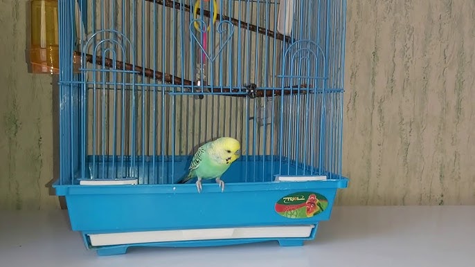 Жас сұлулық Порно ана