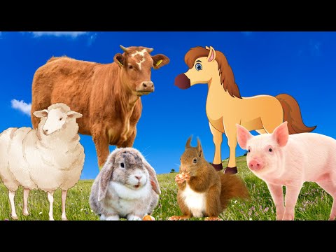 Colorful life of farm animals: cows, pigs, chickens, dogs, cats,...