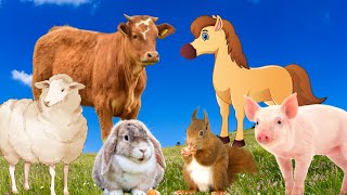 Colorful life of farm animals: cows, pigs, chickens, dogs, cats,... by Animal Paradise 80,641 views 1 year ago 8 minutes, 44 seconds