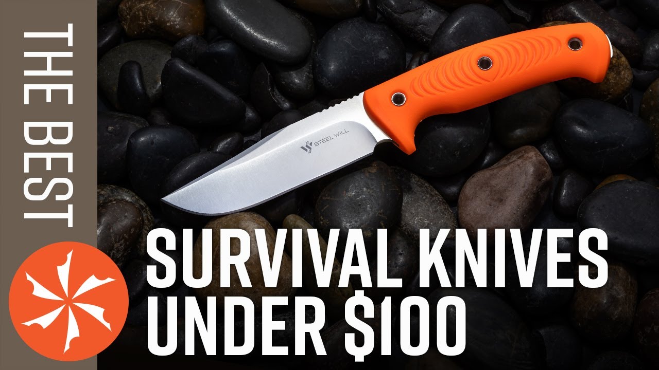 What's The Best Chef Knife Under $100?