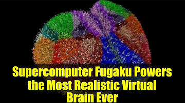 Supercomputer Fugaku Powers the Most Realistic Virtual Brain Ever