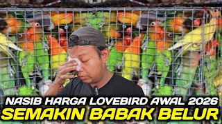 CEK HARGA LOVEBIRD AWAL TAHUN 2026 DIKIOS SINGGIH PASAR BURUNG PRAMUKA HARI INI