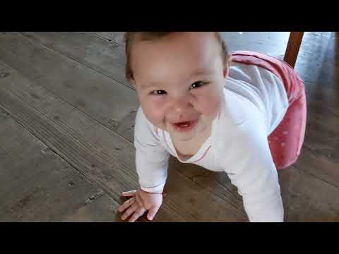 ქრისტე აღსდგა....გილოცავთ ჩემო კარგებო ყველაას❤❤❤