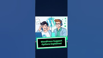 I Called Wordpress About My Website