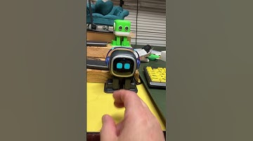 Emo got crushed in rock paper scissors ✂️ this time poor Emo cried so cute lol 😂