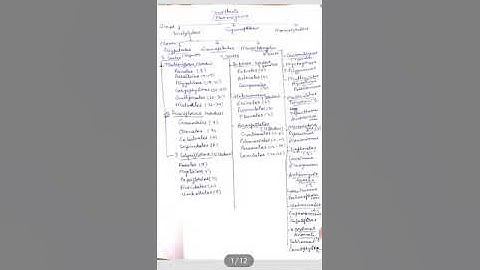Bentham &Hooker System,Gamopetalae,Monochlamydae