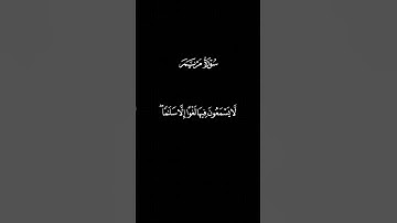 تلاوة خاشعة من سورة مريم للشيخ محمد اللحيدان/ اترك اثرا طيبا تؤجر عليه 🤍😴