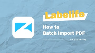 Labelife APP Tutorial丨How to Batch Import PDF File丨Shipping Label Printer Setup Instruction Manual
