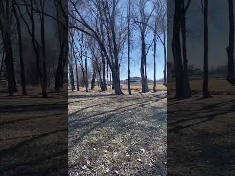 February 16th, 2023 - Osborne Park, Nampa, Idaho