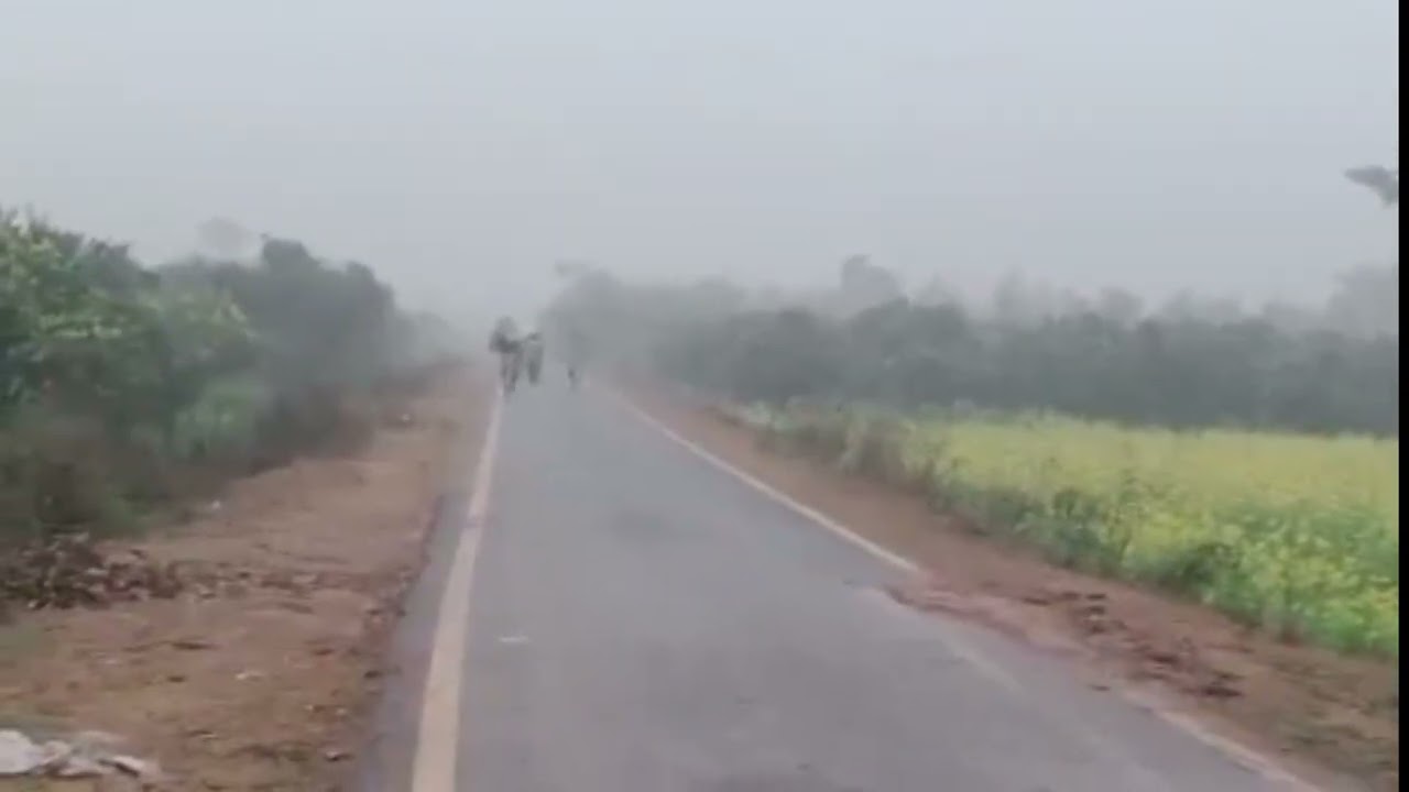 Pakistani Orange Bhagat Orange Factory Kohinoor Bhagat Visit Rana M Nadeem Rana M Babar Sargodha