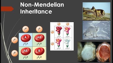 Non-Mendelian Inheritance