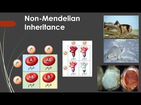 Non-Mendelian Inheritance