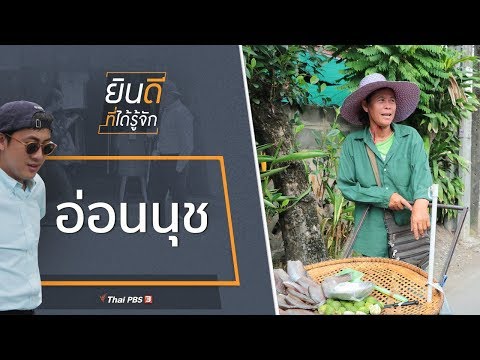 วีดีโอ: ต้นอ่อนนุช: ต้นอ่อนนุชชนิดใดที่เติบโตในเขต 6