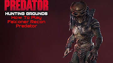 Predator Hunting Grounds: HOW TO PLAY FALCONER RECON PREDATOR