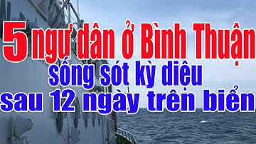 Tin 4T: 5 ngư dân ở Bình Thuận sống sót kỳ diệu sau 12 ngày lênh đênh trên biển