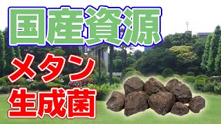 【新発見】メタン生成菌によって廃炭田復活！？【国産資源】