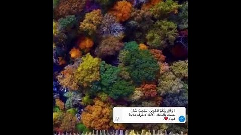 قرآن كريم مقطع قصير 🌺💛