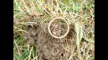 Minelab ETRAC Metal Detecting Silver