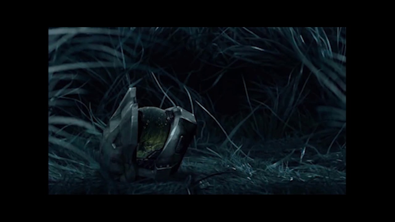 Ｈａｌｏ　＆　ＬＯＦＩ　プ火若