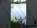Whoaahh crazy runs🤩🎣🙏 #carpfishing #twincarp #fishing #liverun #carprun #karpervissen #karpfenangeln