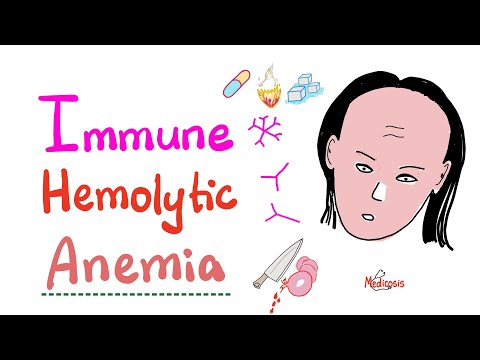 Video: Bloedarmoede Hemolítica Inmuno Mediada