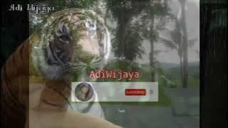 STORY-WA MACAN PUTIH RENUNGAN KEKUATAN
