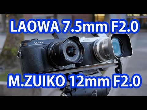Panasonic Gh5 Laowa 7 5mm Test By Jay Jung Panasonic Gh5 Laowa 7 5mm Test By Jay Jung