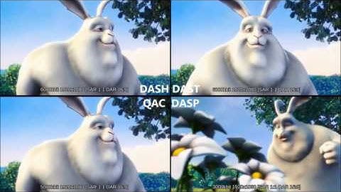 DASH, QAC, DAST, vs DASP