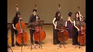 低音提琴重奏 double bass 神鬼奇航 Pirates of the Caribbean_Dead Man's chords