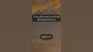 سورة الجاثية الآية ١٣ الى ١٥ بصوت الشيخ محمد صديق المنشاوي