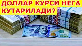 ДОЛЛАР КУРСИ НЕГА КУТАРИЛАДИ ВА ПАСЛАЙДИ ? узбекистонда доллар кутарилди