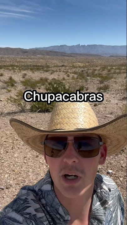 Chupacabras are everywhere down here 😅 #shorts