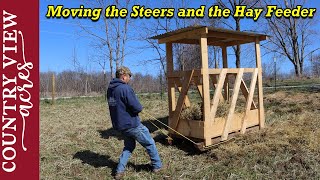 Moving the Steers and their Hay Feeder to next section pasture.  Temporary Fencing Q & A