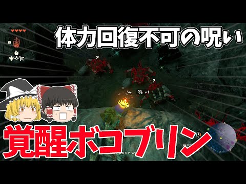 【覚醒】地下に潜入!!特殊能力持ちの最強ボコブリンがヤバすぎたww【ゼルダの伝説 ティアーズ オブ ザ キングダム】【ゆっくり実況】