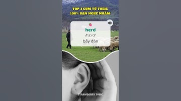 Bạn đã từng nghe nhầm các từ vựng tiếng Anh này?? #toeic2024 #pronunciation