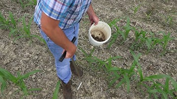Pre-Sidedress Soil Nitrate Test