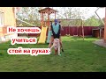 VLOG  Не хочешь учиться , стой на руках