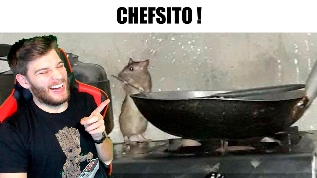 Reaccionando a los Mejores Memes Random #244 - YouTube